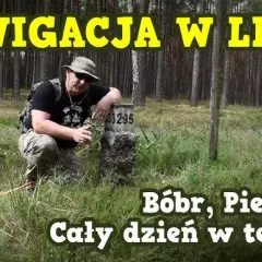 Najlepsze aplikacje do nawigacji w lesie - jak wyjść z lasu