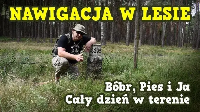 Najlepsze aplikacje do nawigacji w lesie - jak wyjść z lasu